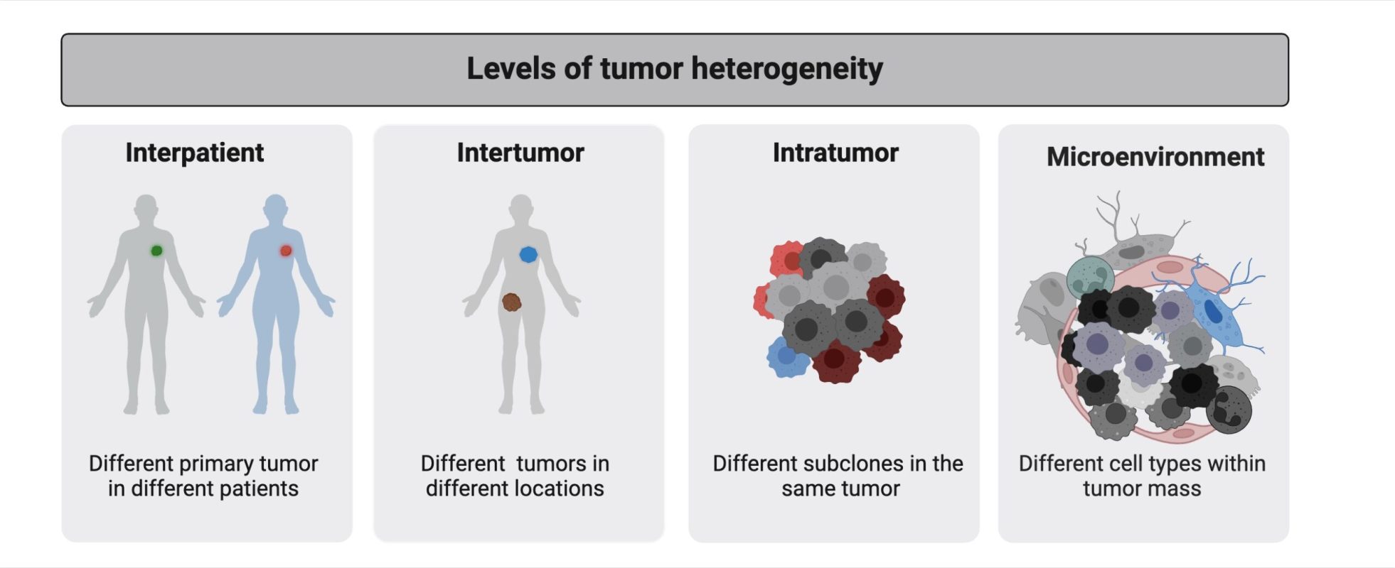 Types of Tumor Heterogeneity